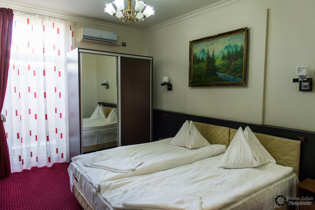 Pensiunea Schwartz Cluj-Napoca Exteriör bild