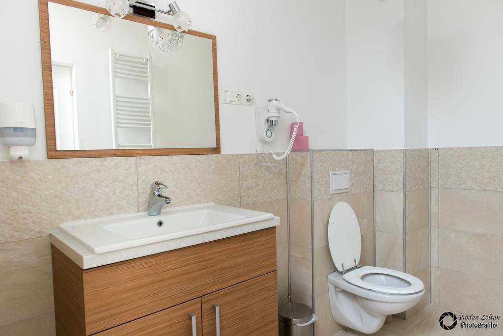 Pensiunea Schwartz Cluj-Napoca Exteriör bild