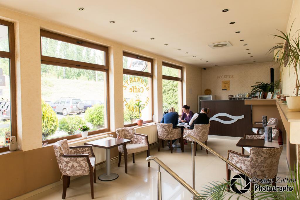 Pensiunea Schwartz Cluj-Napoca Exteriör bild