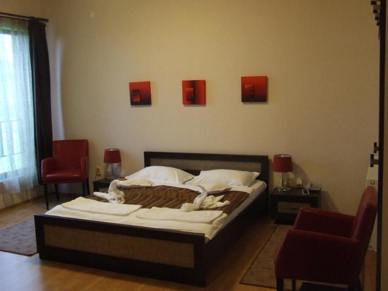 Pensiunea Schwartz Cluj-Napoca Exteriör bild